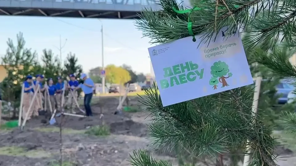 Фото: Ксения Казакова