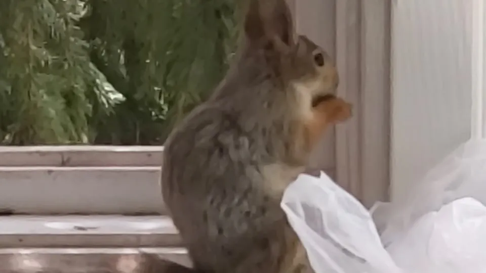 Фото: Елена Макова