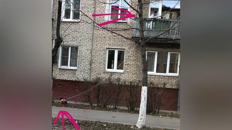 Житель выгулял собаку с балкона второго этажа в Щелково