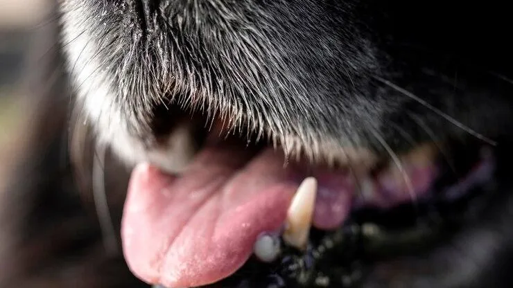 Фото взято с ru.freepik.com