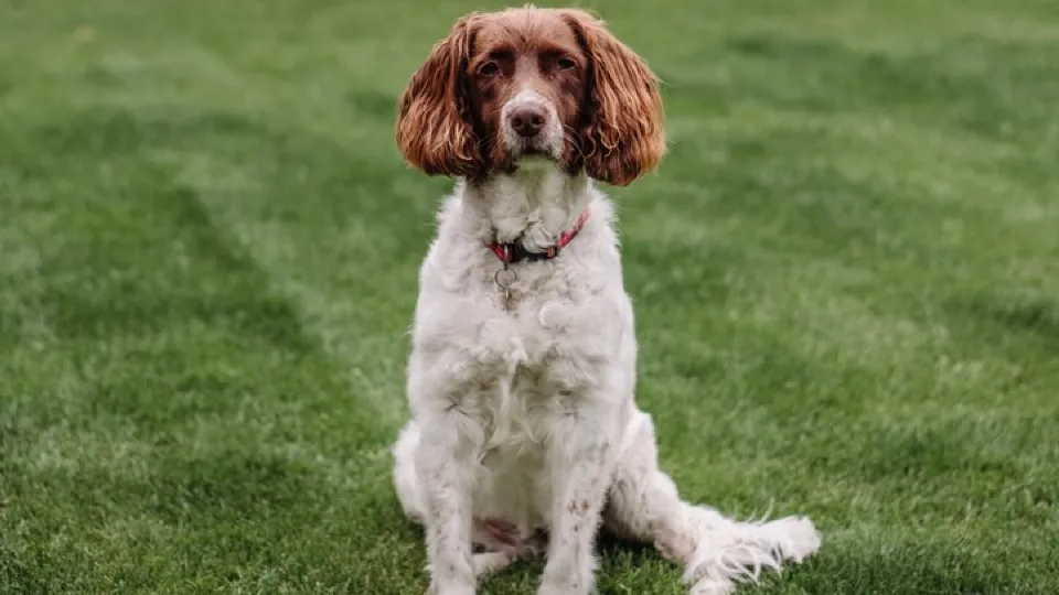 Фото: freepik.com