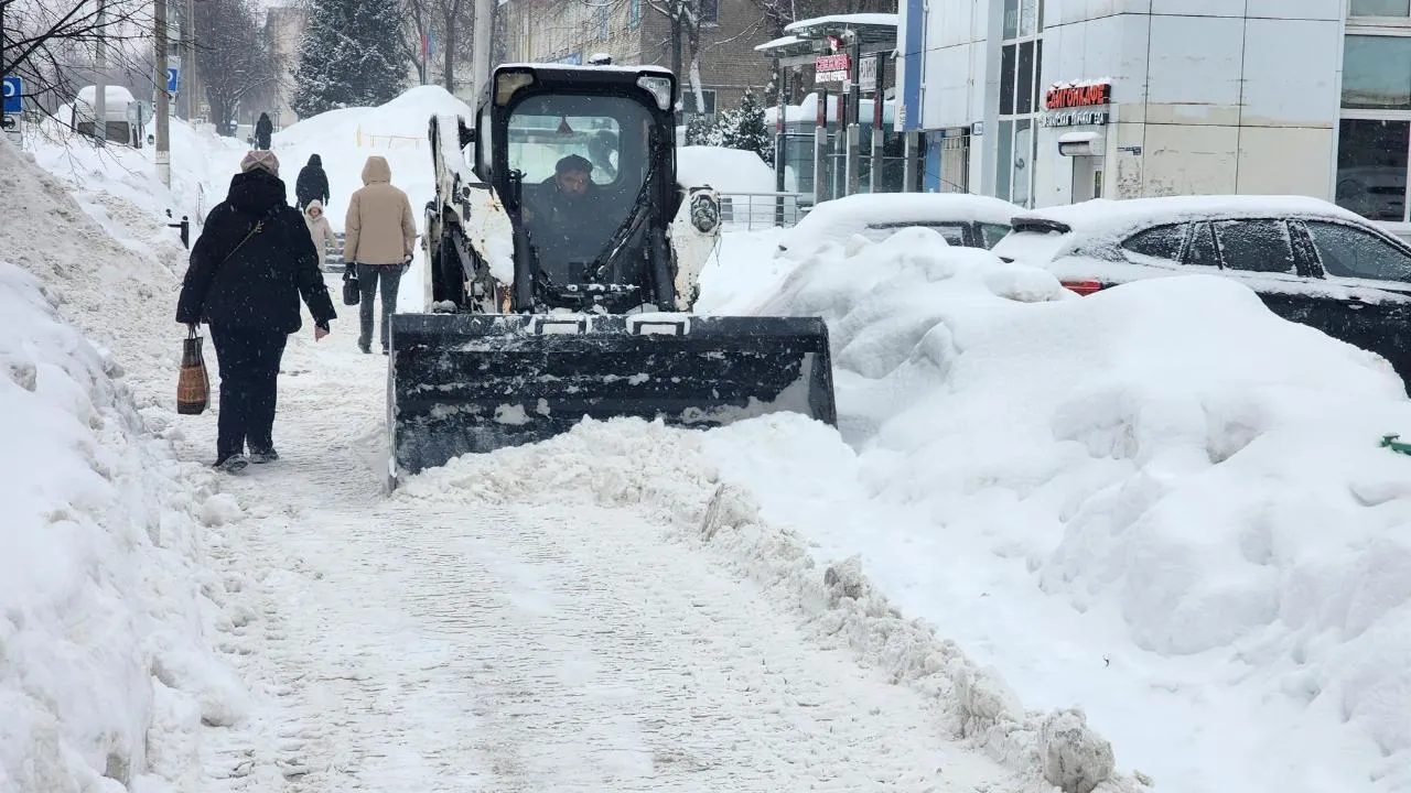 REGIONS/Мария Шигорева