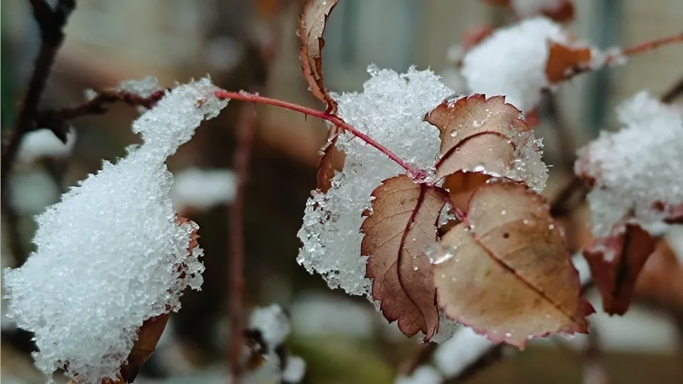 Фото: МедиаБанк Подмосковья/Екатерина Дятловская
