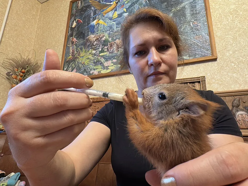 Фото: REGIONS/Мария Шматкова