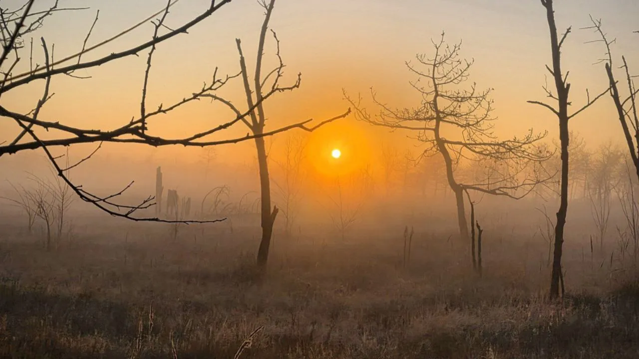 Фото: REGIONS/Анастасия Широкая