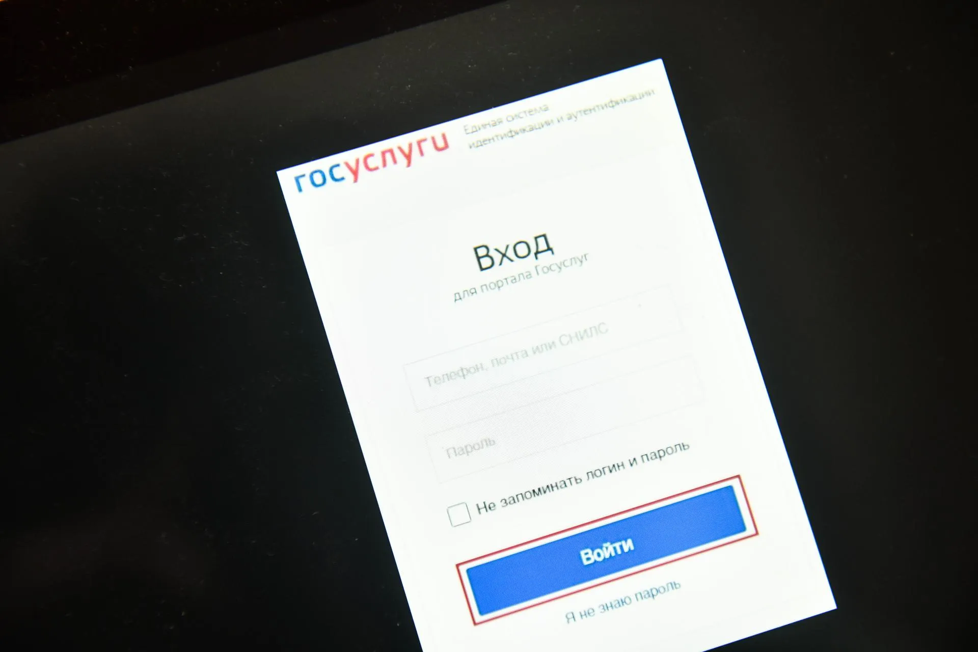 Daniel Felipe Kutepov