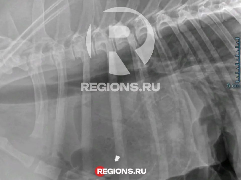 Фото: личный архив Ангелины Дубровой