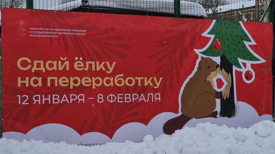 Фото: Юлия Выборова