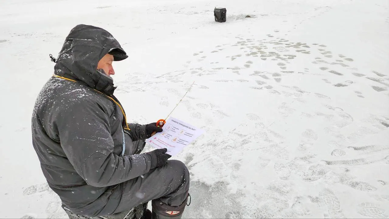 Фото: Валерия Тингаева