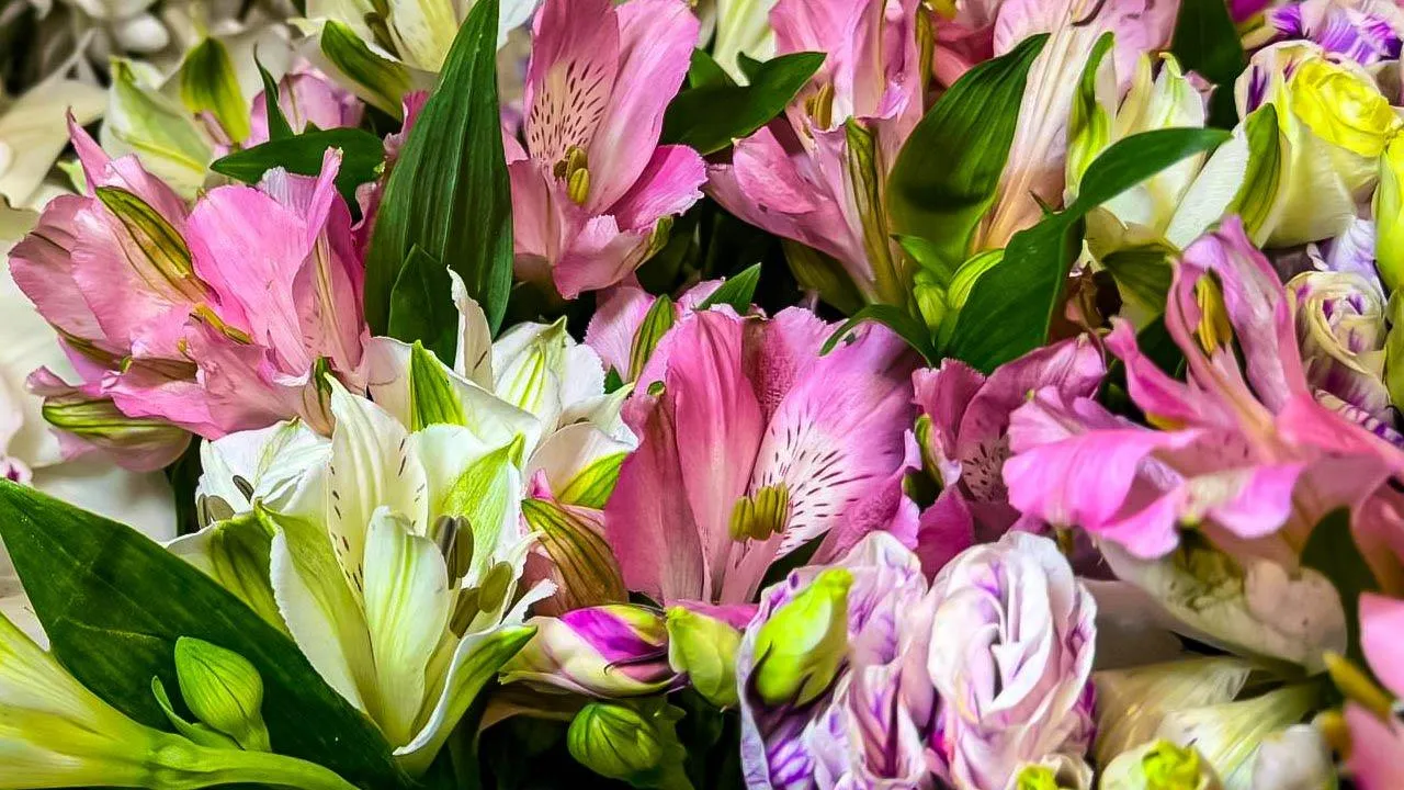 REGIONS/Дарина Левкина