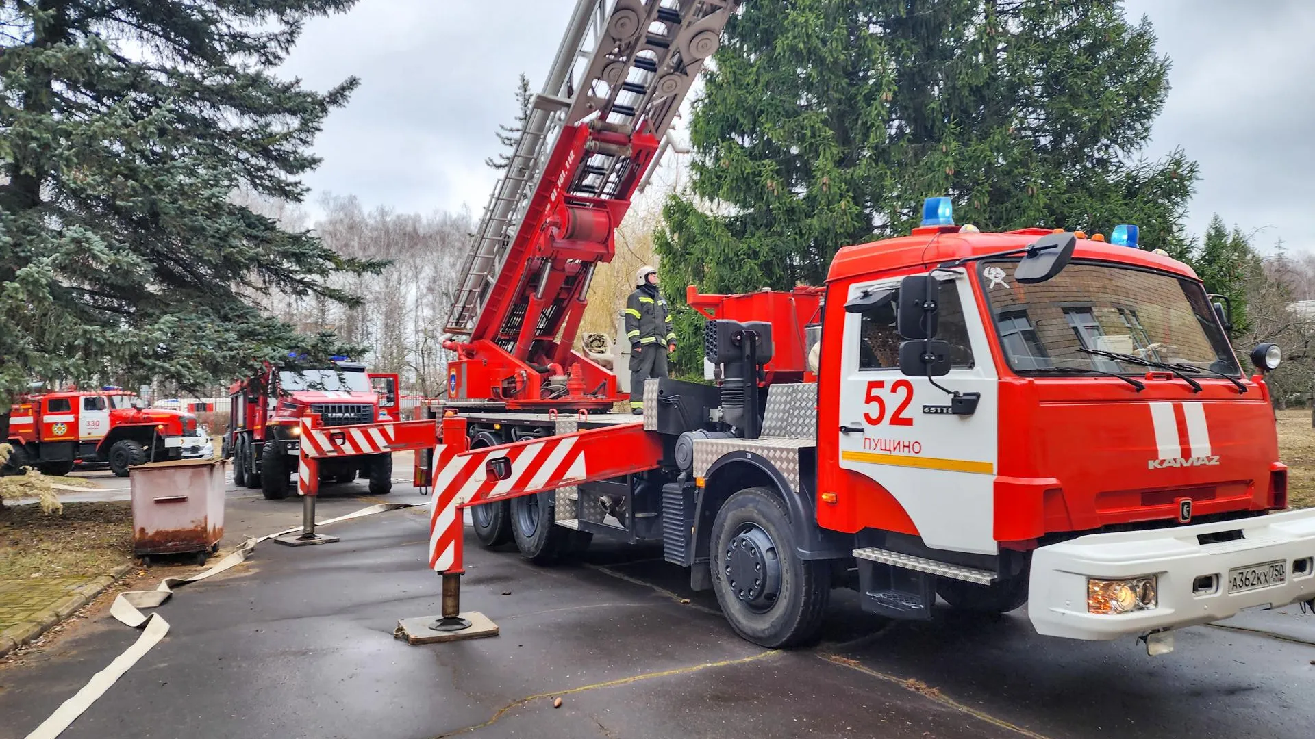 Фото: Мария Панина