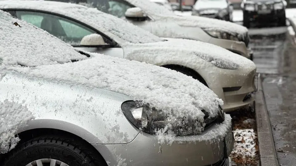 REGIONS/Полина Крачун