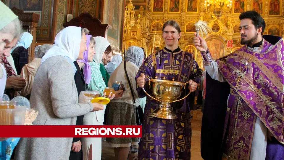 Фото: REGIONS/Василий Тремасов