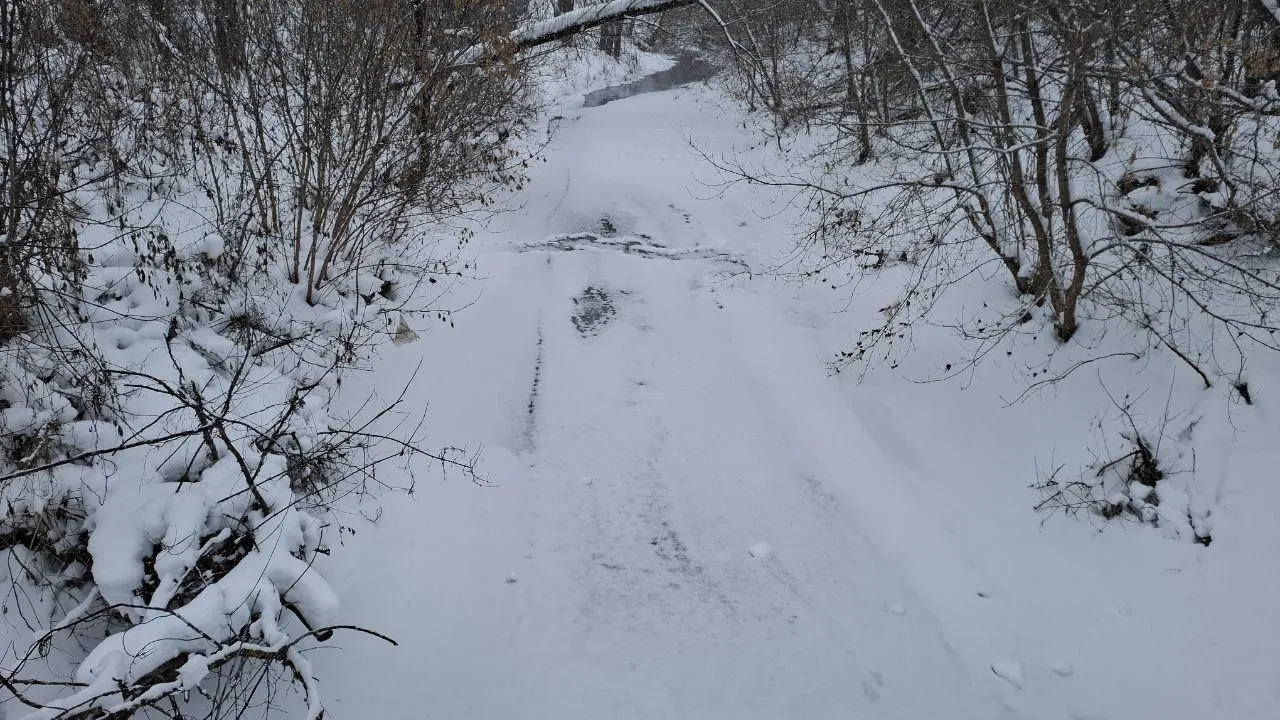 REGIONS/Юлия Габбасова