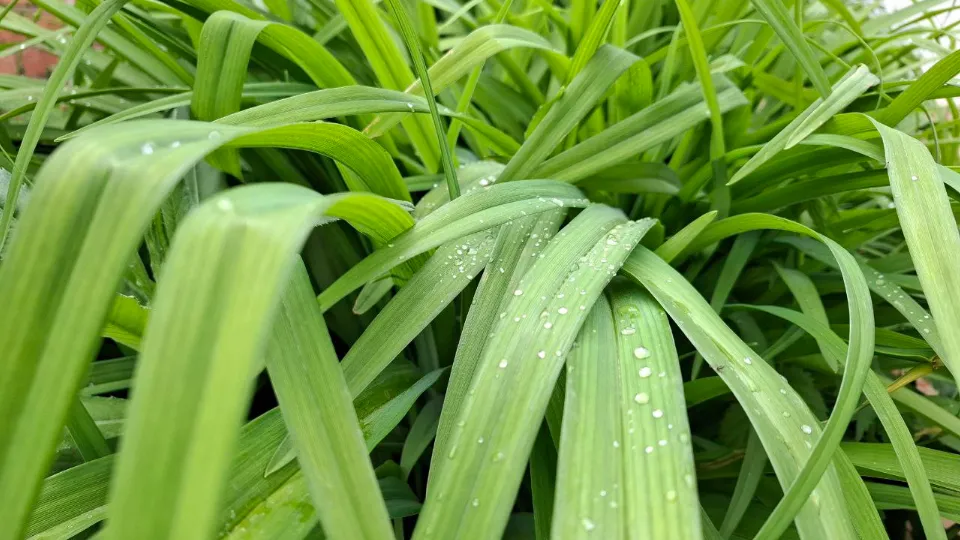 Фото: REGIONS/Юлия Габбасова