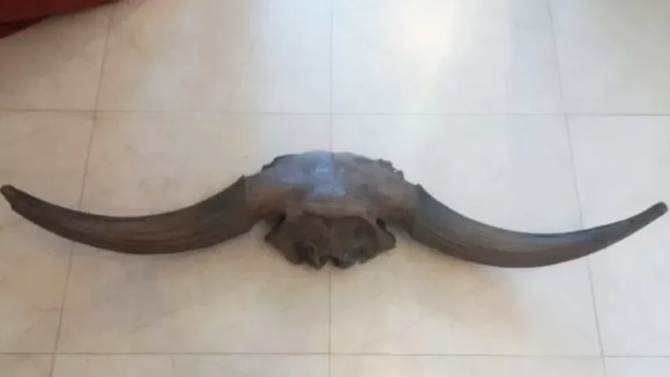 Фото: городская доска объявлений