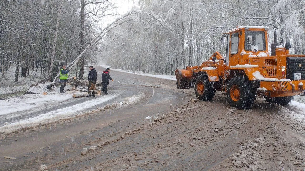 глава городского округа Пушкинский Максим Красноцветов