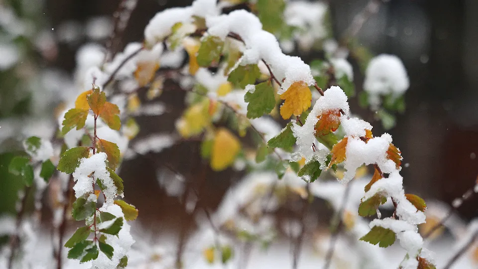 Фото: REGIONS/Ольга Пятикрестовская