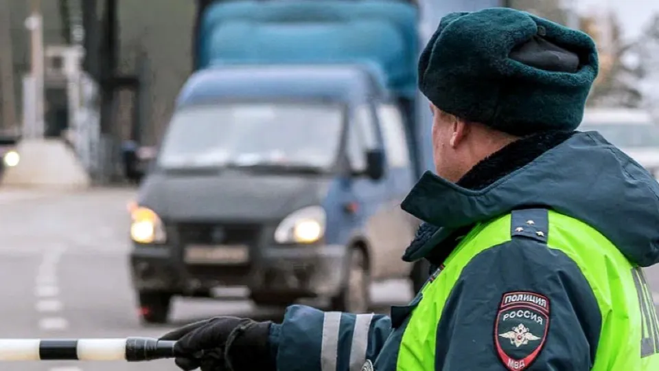 Фото: Госавтоинспекция Московской области