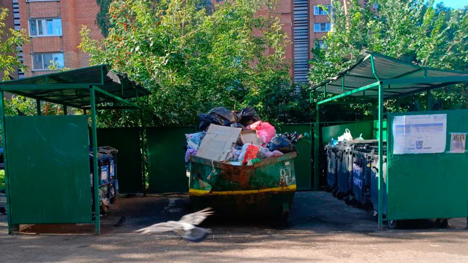 Фото: Минчистоты Московской области