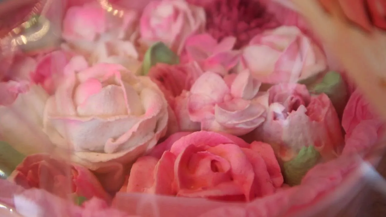 МедиаБанк Подмосковья/Мария Панина