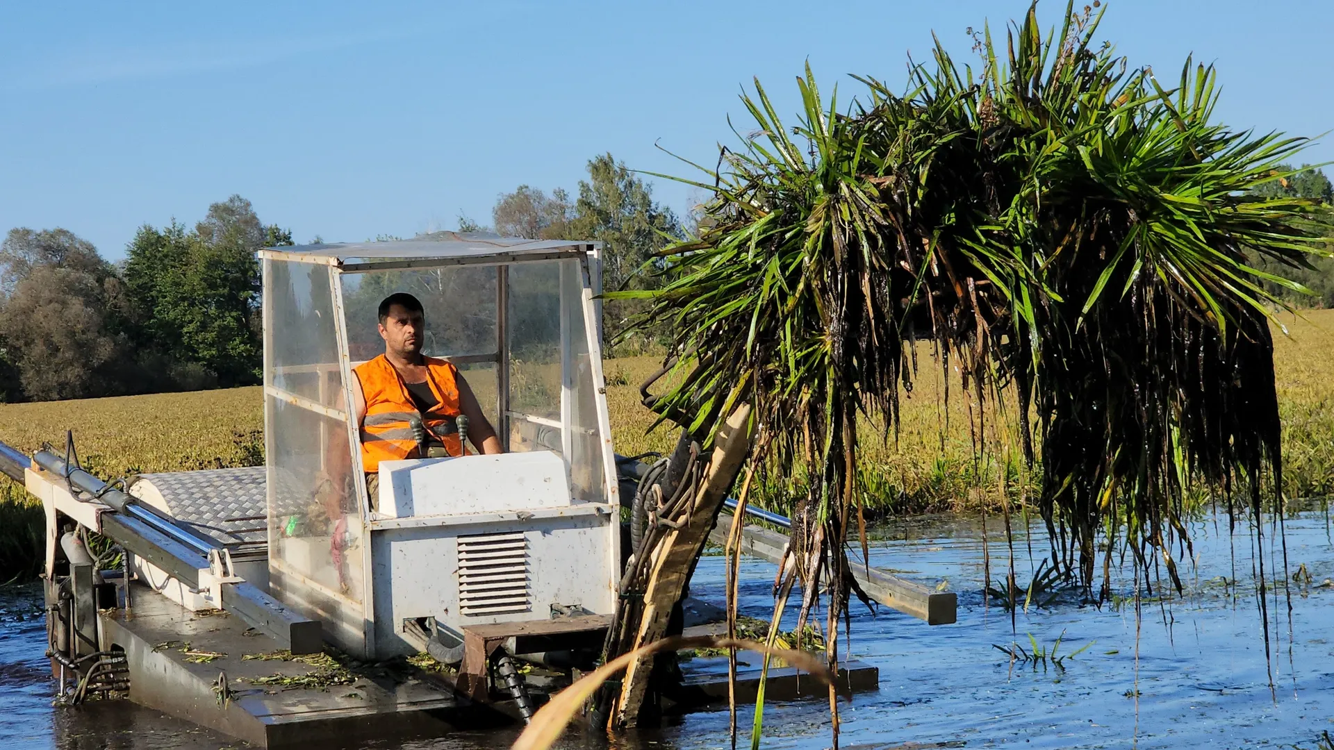 Фото: МедиаБанк Подмосковья/Андросова Юлия