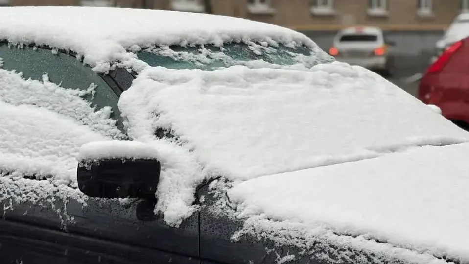 REGIONS/Полина Крачун