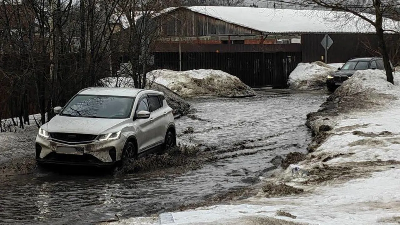 t.me/artsuvorov_live