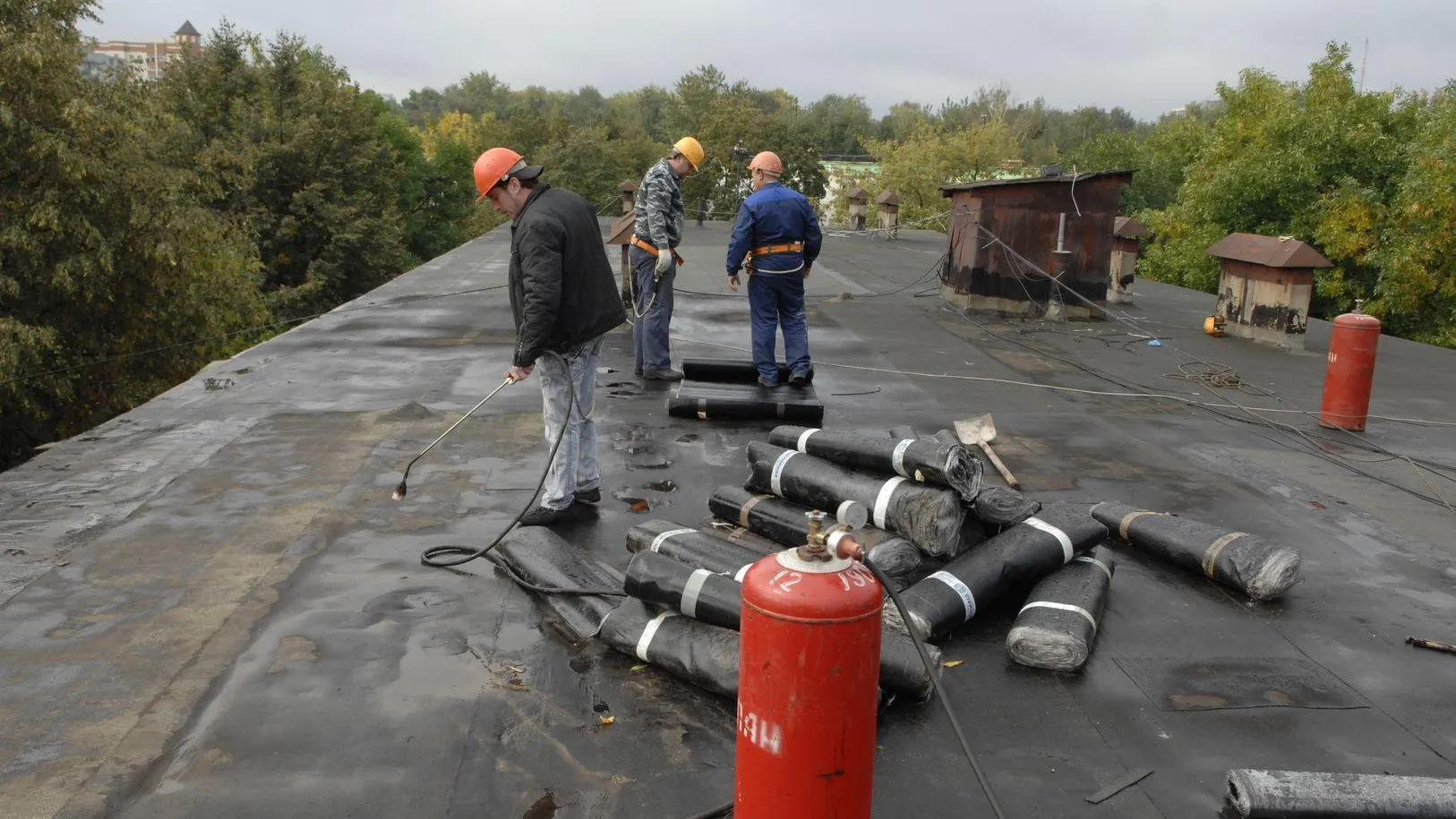 Фото: комитет по конкурентной политике Московской области