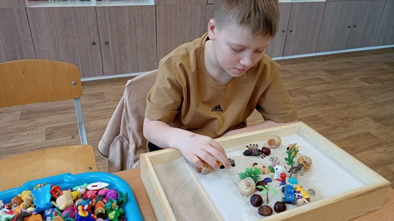 ГКУСО МО Дмитровский СЦ "Остров надежды"