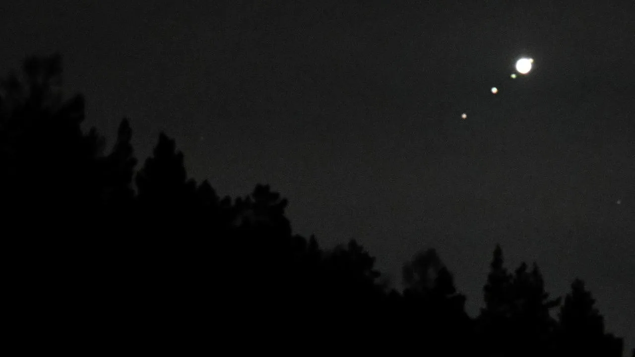 РИА Новости/Илья Наймушин