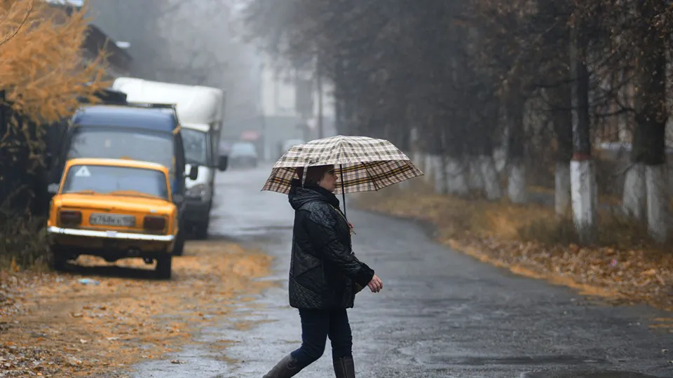 Фото: медиасток.рф