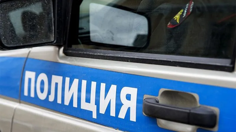 Дачники убили соседа тяпкой из-за участка земли 