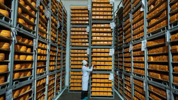 Восемь компаний Швейцарии будут поставлять сыр и мясо в Россию