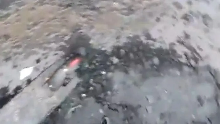 Фото скрин видео из соцсети.