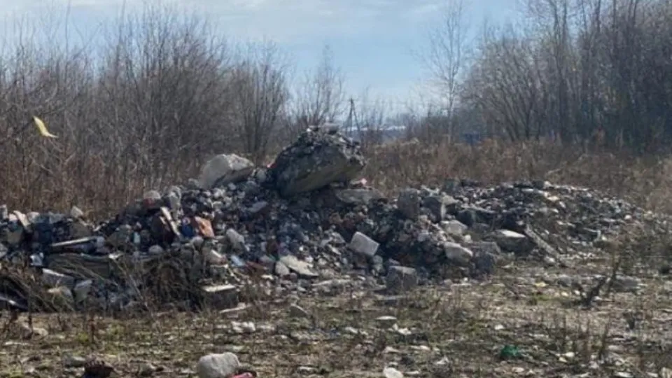 Фото: Министерство экологии и природопользования Московской области