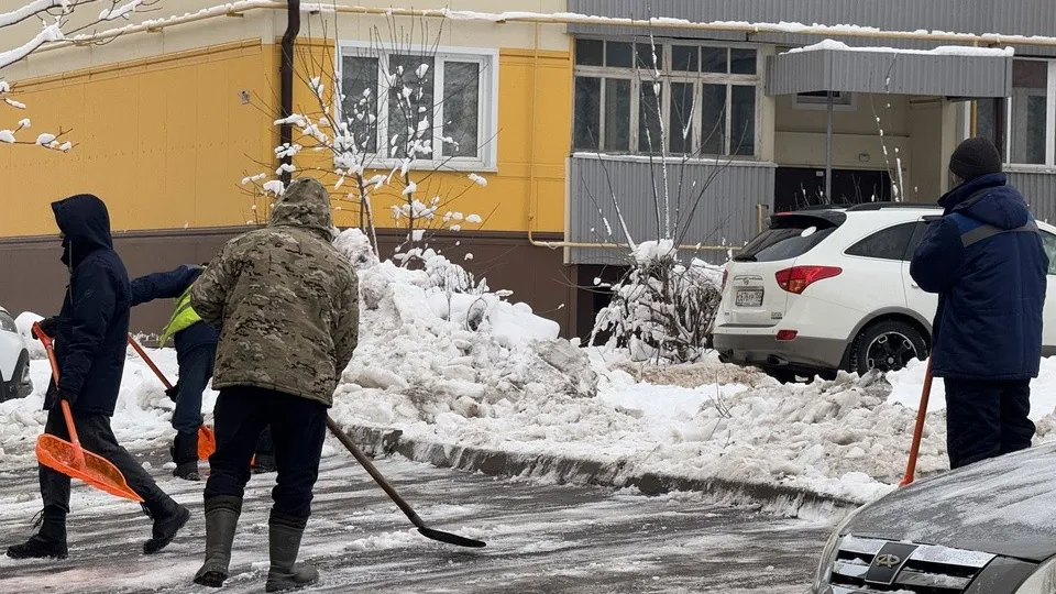 Фото: МедиаБанк Подмосковья/Татьяна Рунова