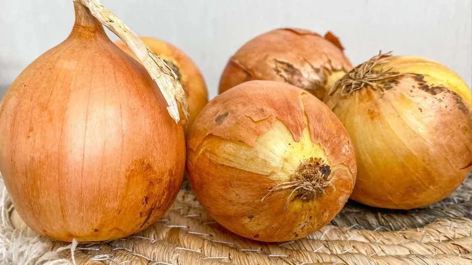 Фото: Министерство сельского хозяйства и продовольствия Московской области