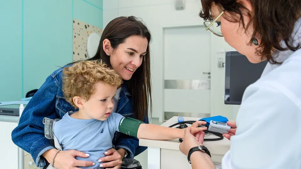 Фото: пресс-служба губернатора и правительства Московской области