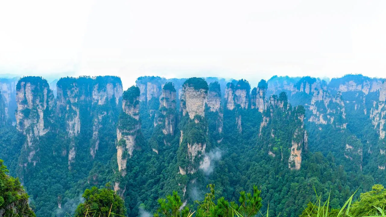 istockphoto.com
