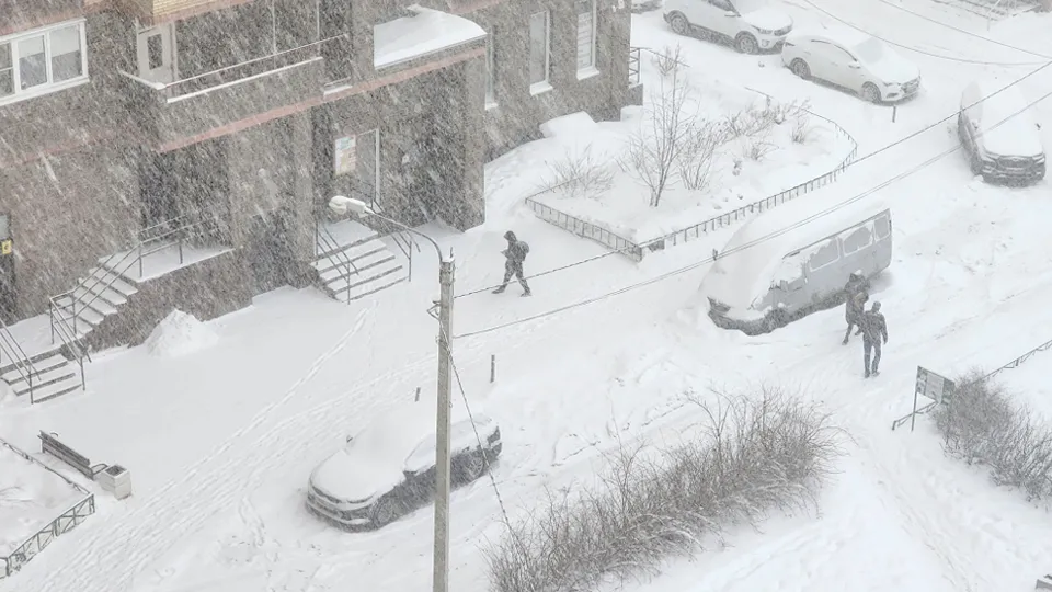 Фото: МедиаБанк Подмосковья/Ксения Казакова