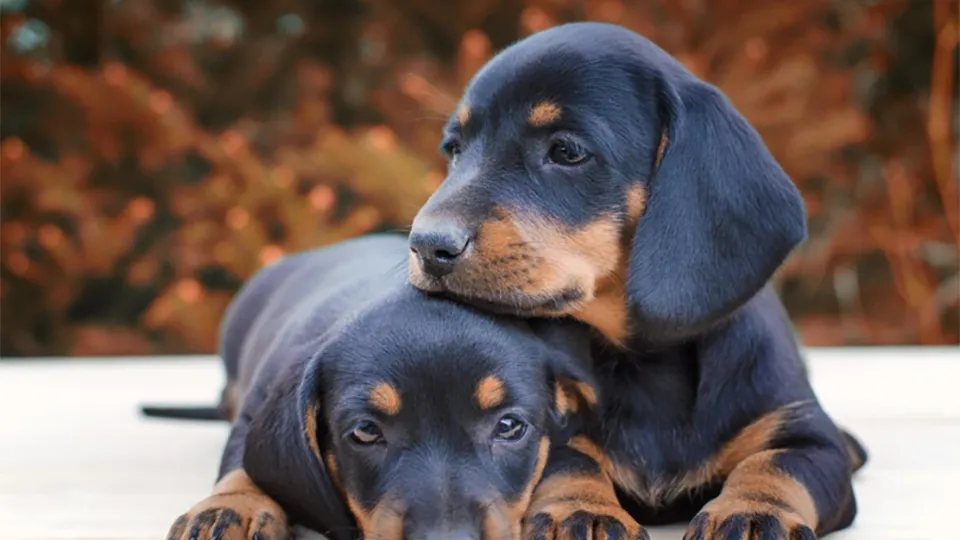 Фото: freepik.com