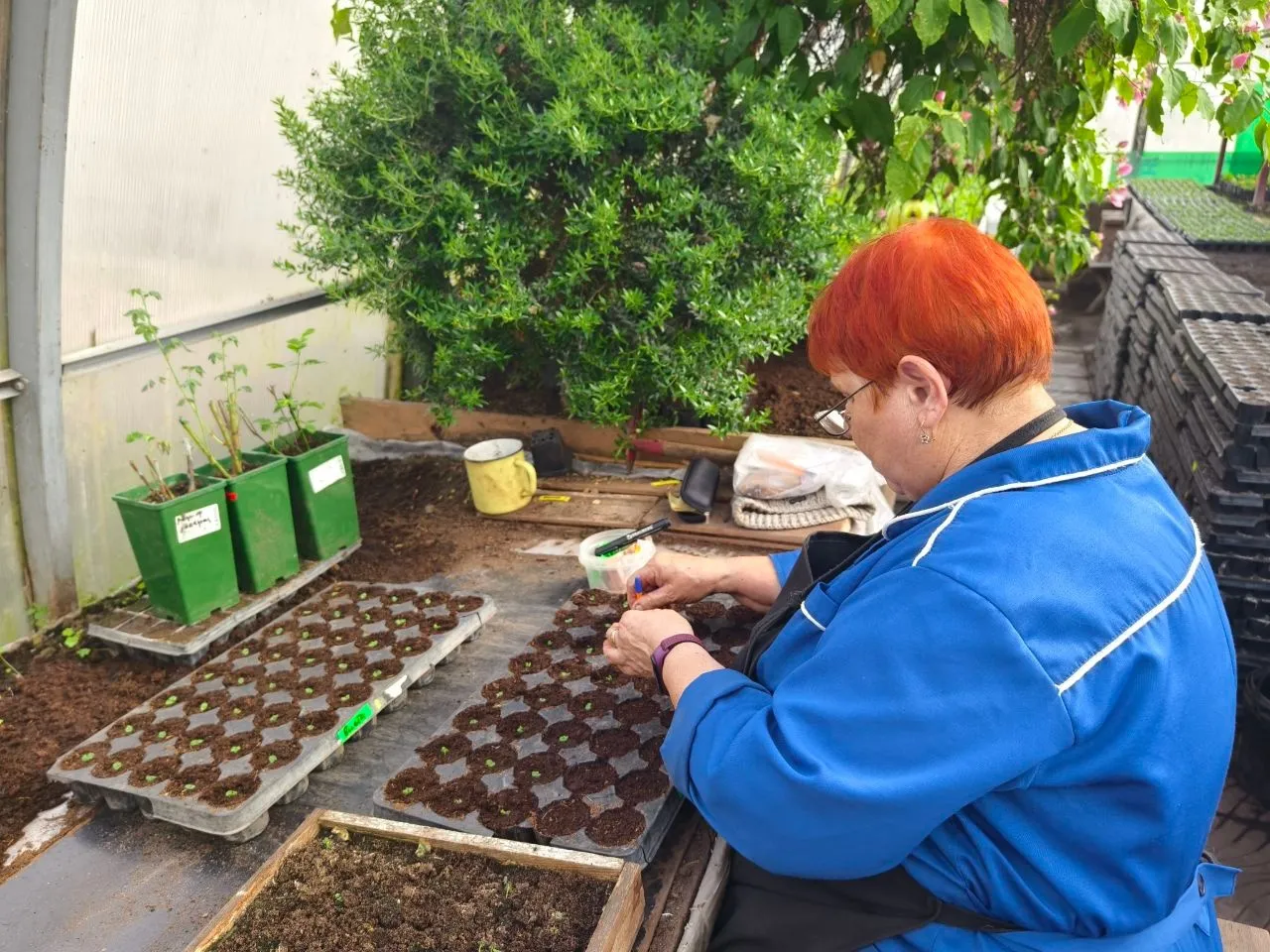 Фото: пресс-служба администрации Серпухова