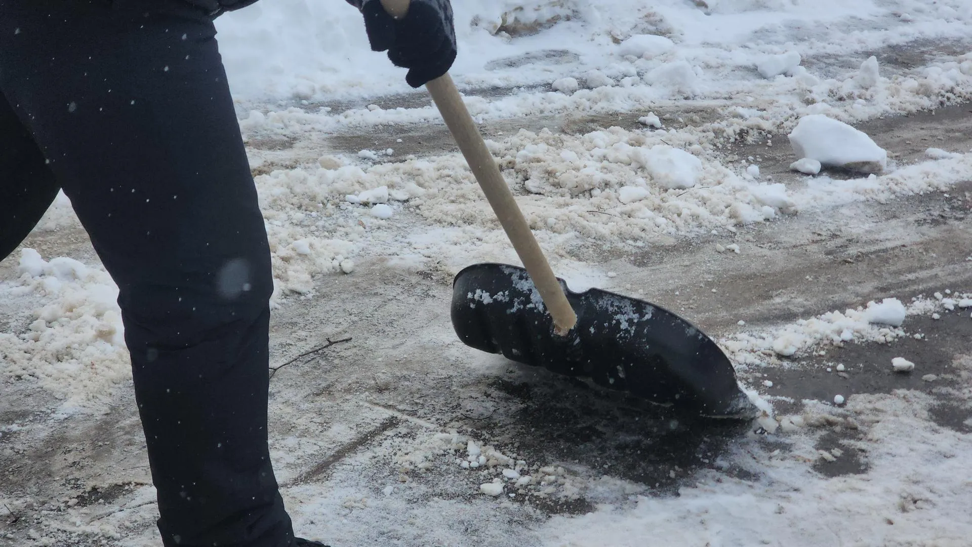 Алена Притула