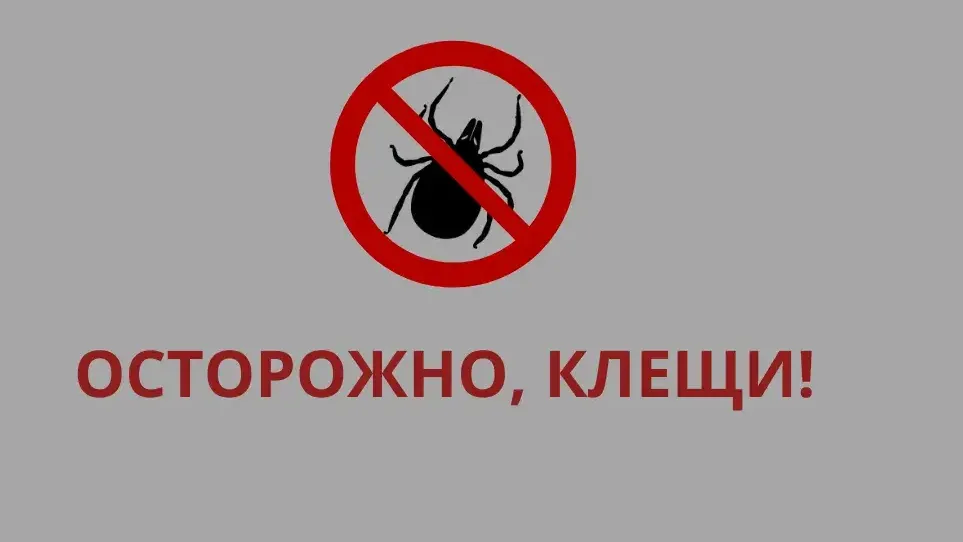 Фото: Пресс-служба Лобненской больницы