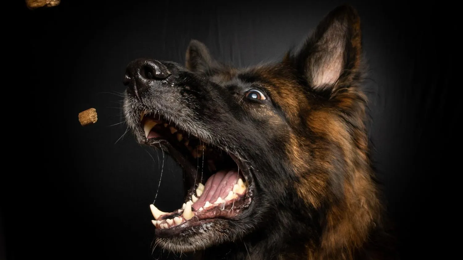 медиасток.рф