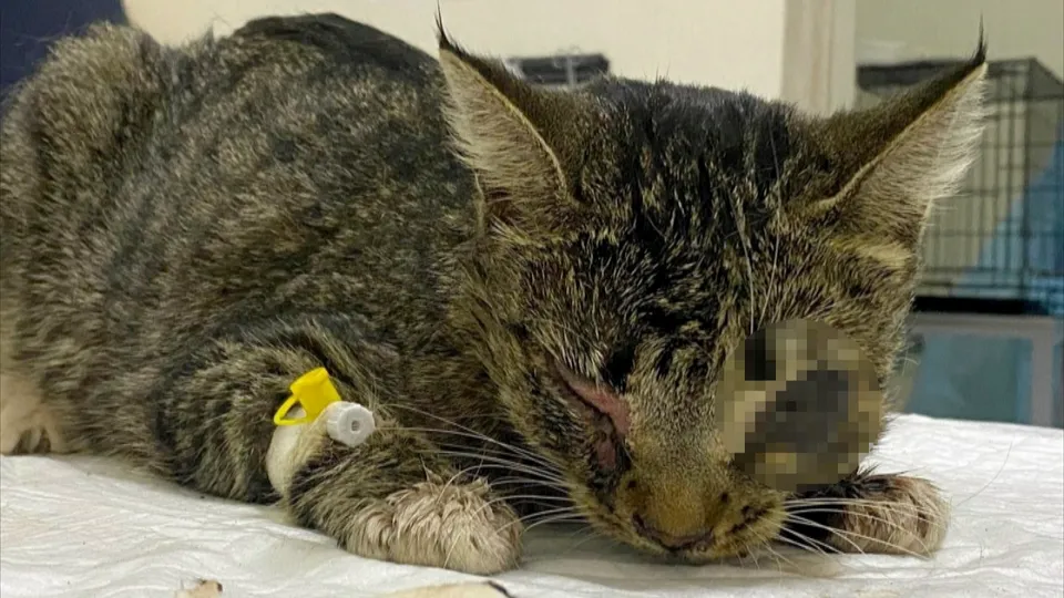 Фото: Евгения Морозова