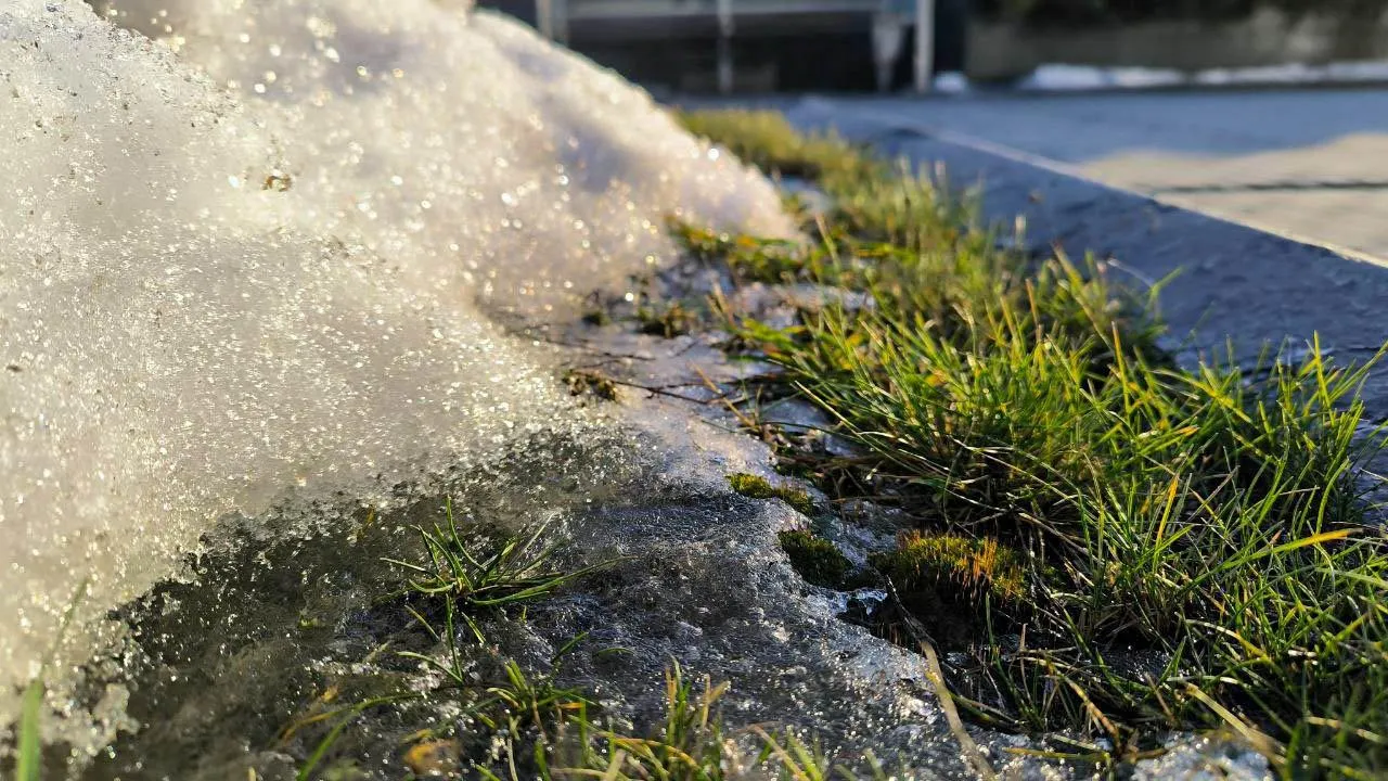 REGIONS/Роман Малышенко