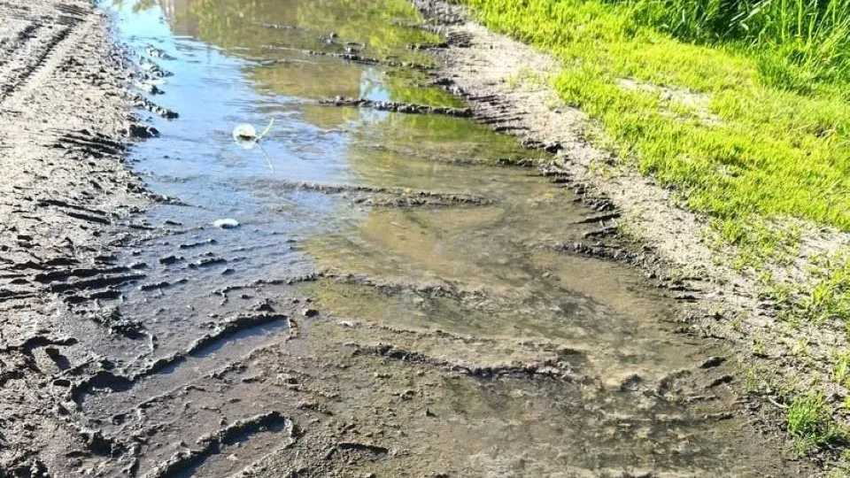 Фото: соцсети