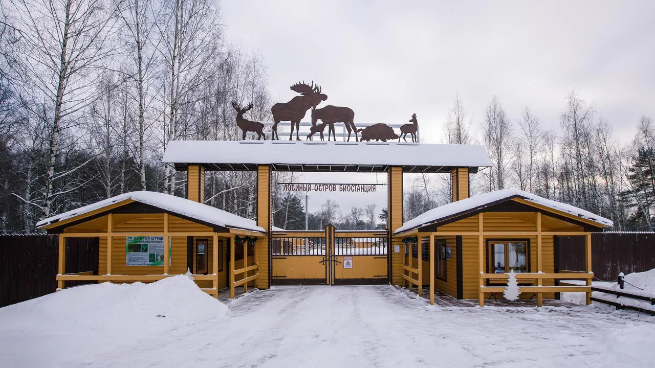 медиасток.рф